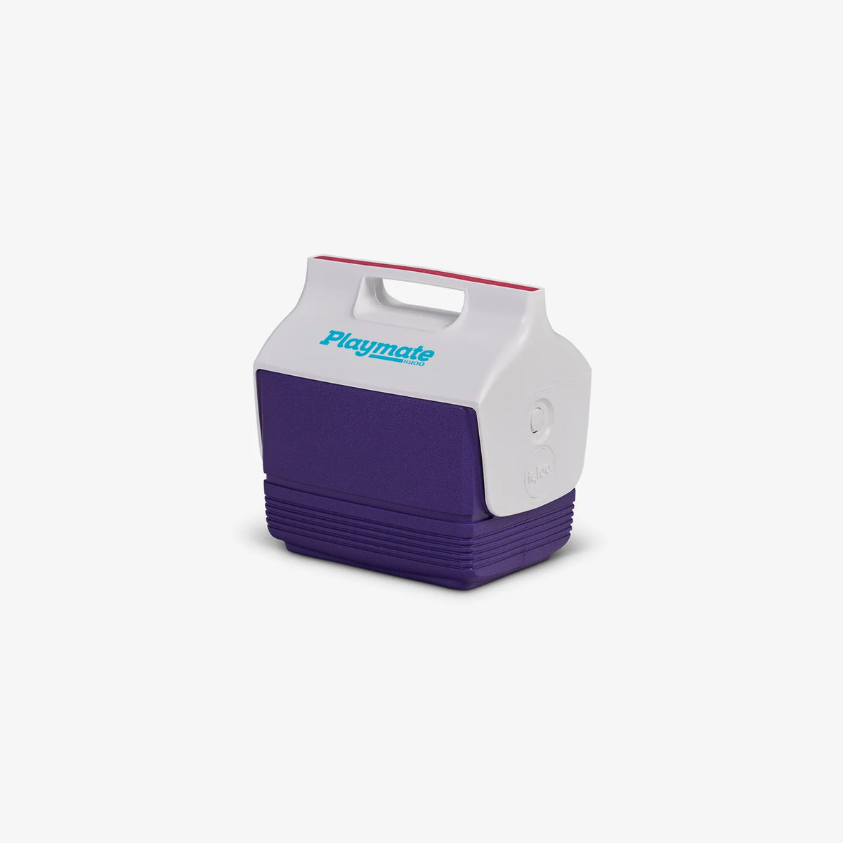 Custom Igloo Mini Playmate 4 Qt Cooler