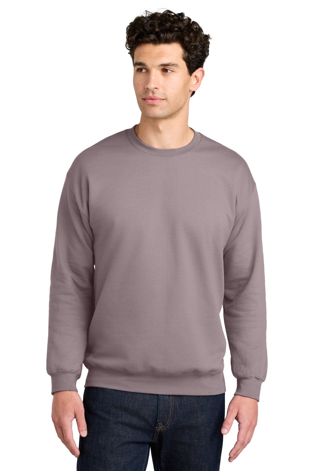 Gildan Softstyle Crewneck Sweatshirt - Paragon