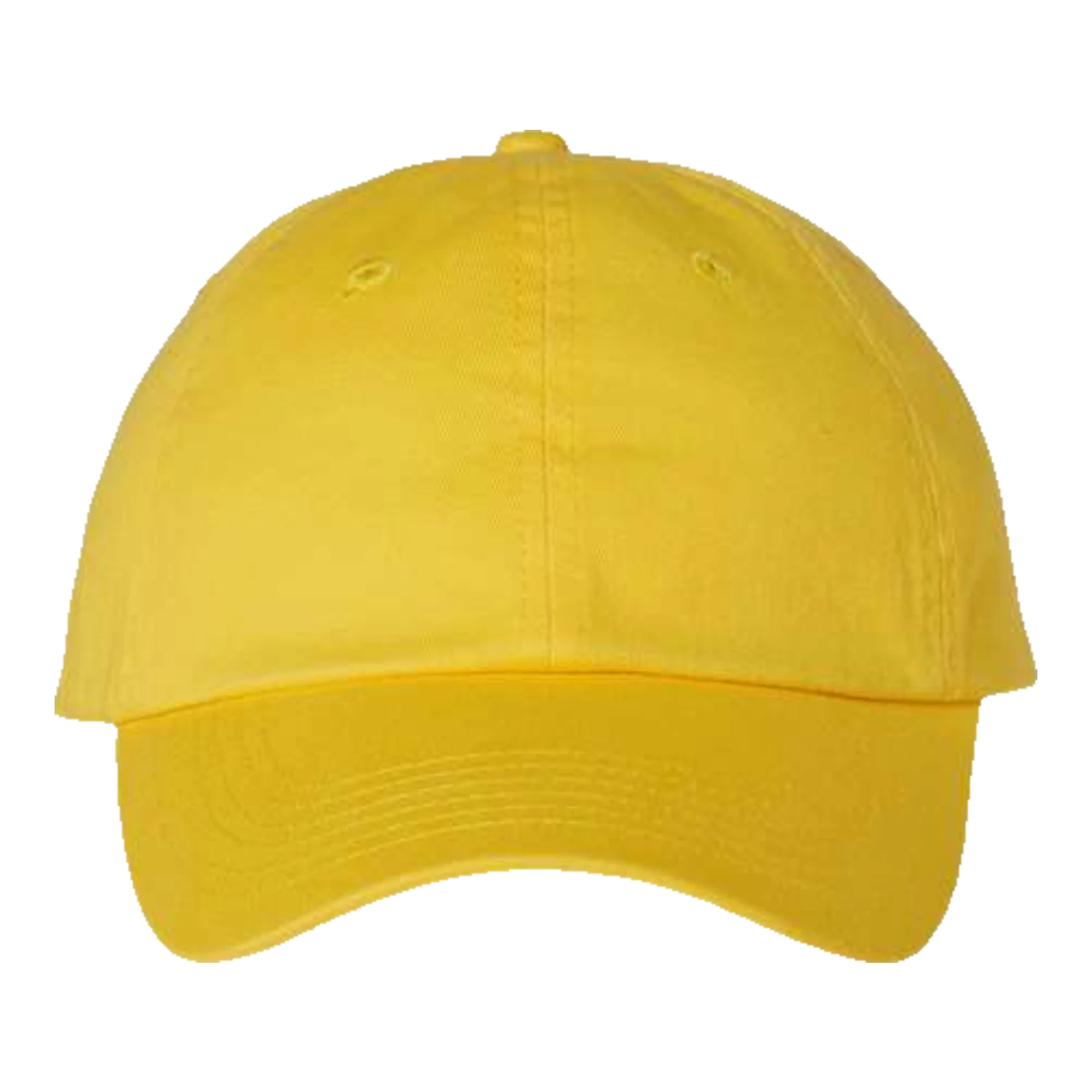 Valucap Adult Bio-Washed Classic Custom Dad Hat
