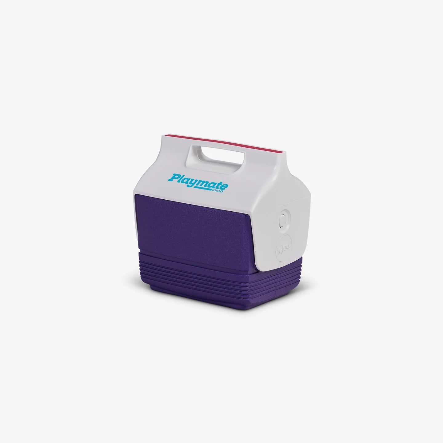 Custom Igloo Mini Playmate 4 Qt Cooler