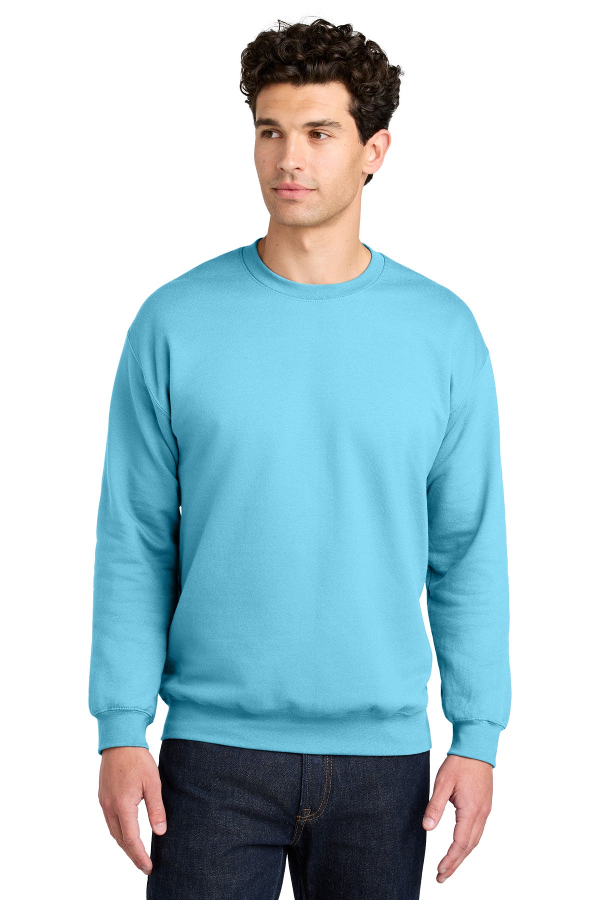 Gildan Softstyle Crewneck Sweatshirt - Sky