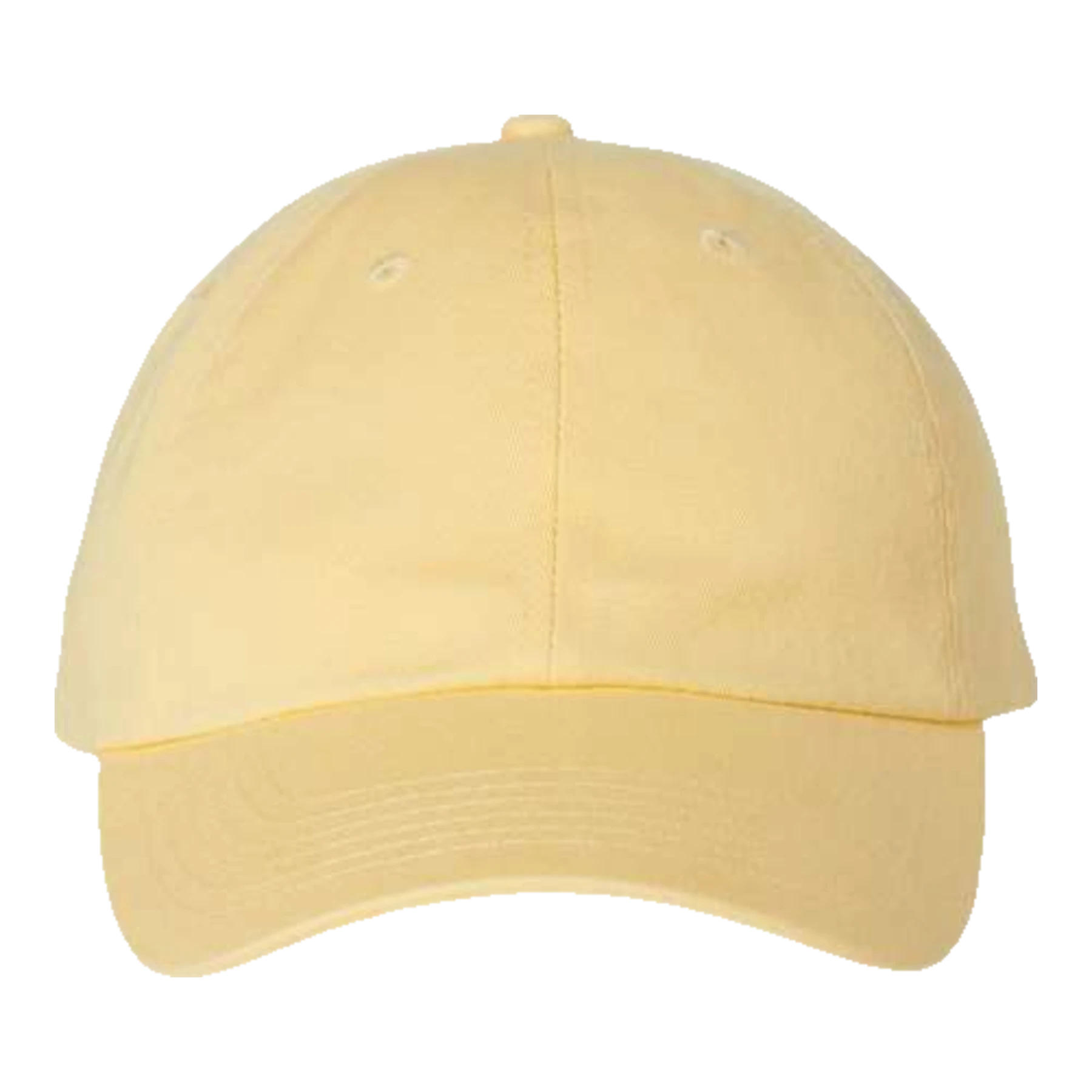 Valucap Adult Bio-Washed Classic Custom Dad Hat