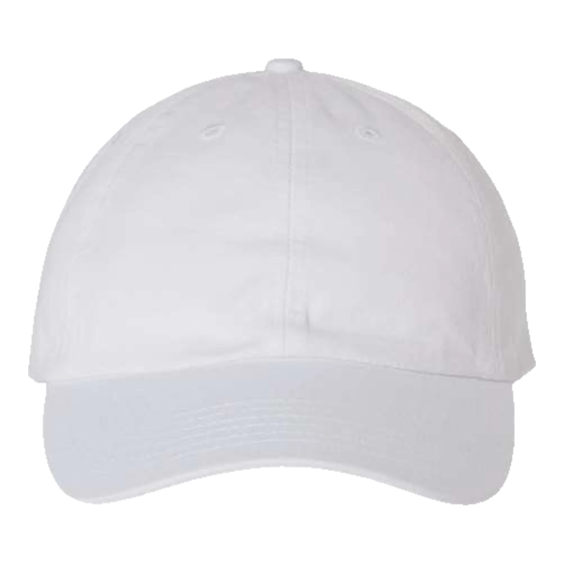 Valucap Adult Bio-Washed Classic Custom Dad Hat