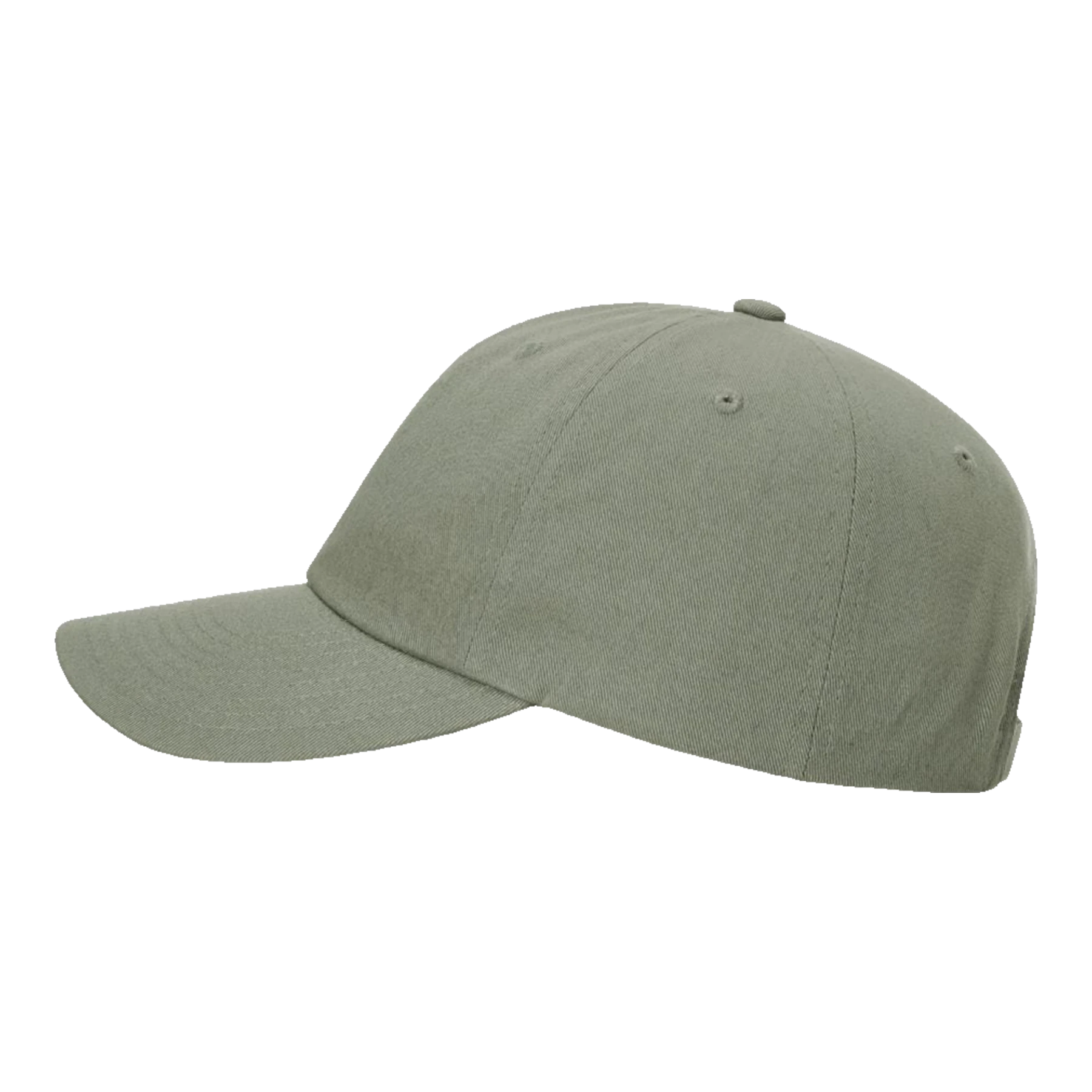 Richardson Sustainable Ashland Custom Dad Hat